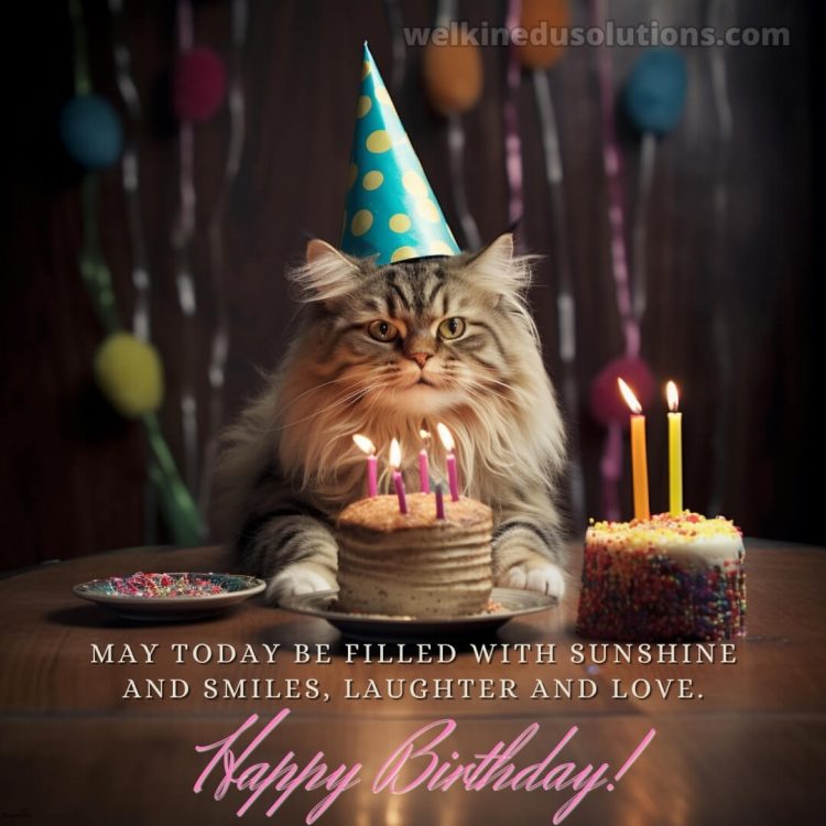 Happy Birthday to my daughter quotes picture cat gratis