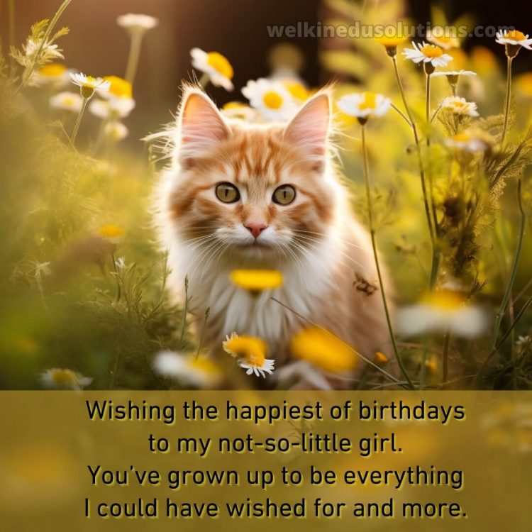 Happy Birthday to my daughter quotes picture daisies gratis