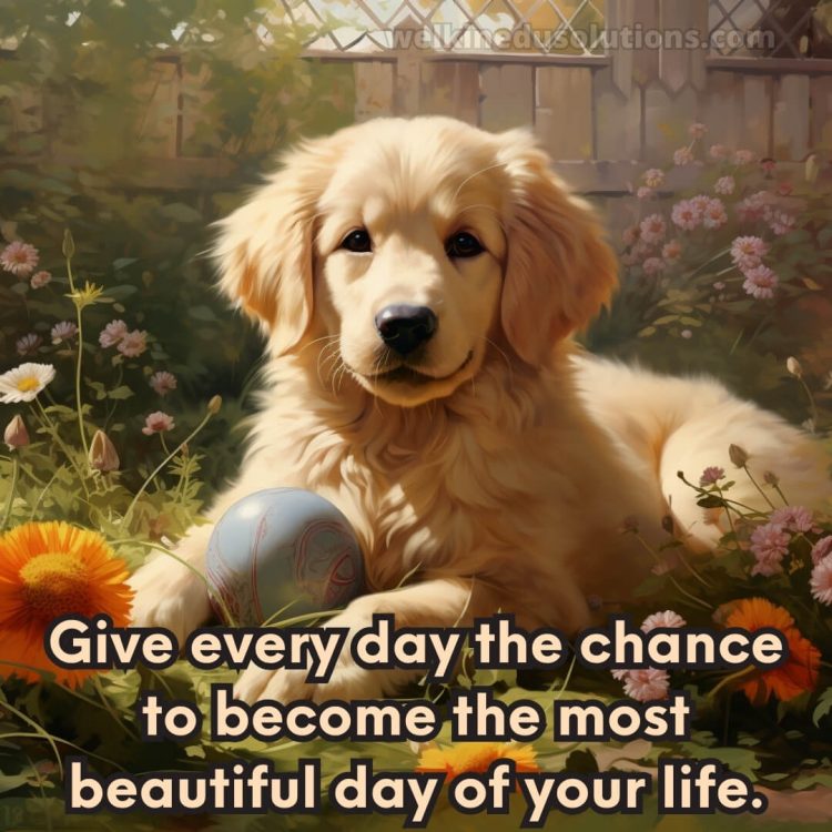 Have a good day quotes picture dog gratis
