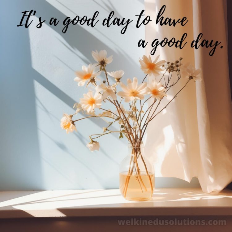 Have a good day quotes picture daisies gratis