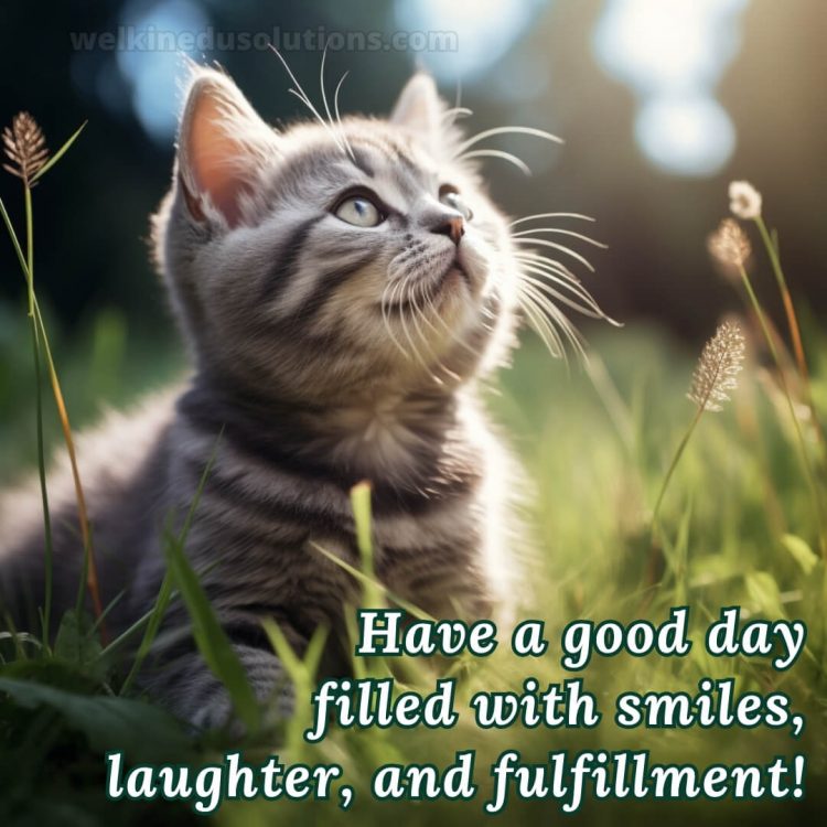 Have a good day reply picture kitty gratis