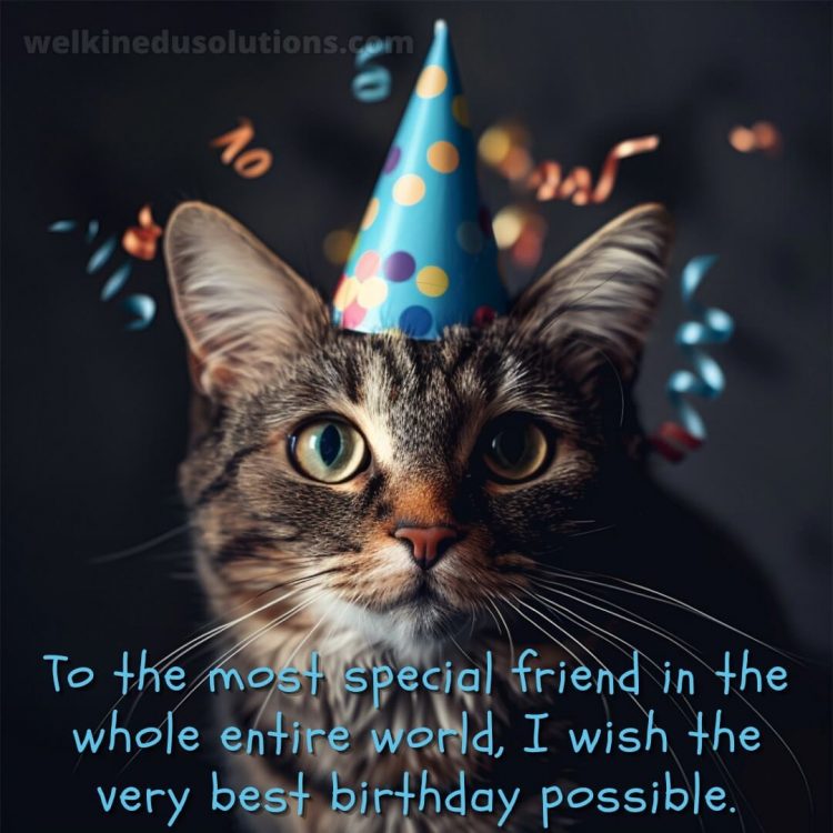 Birthday wishes for friend in marathi picture cat gratis