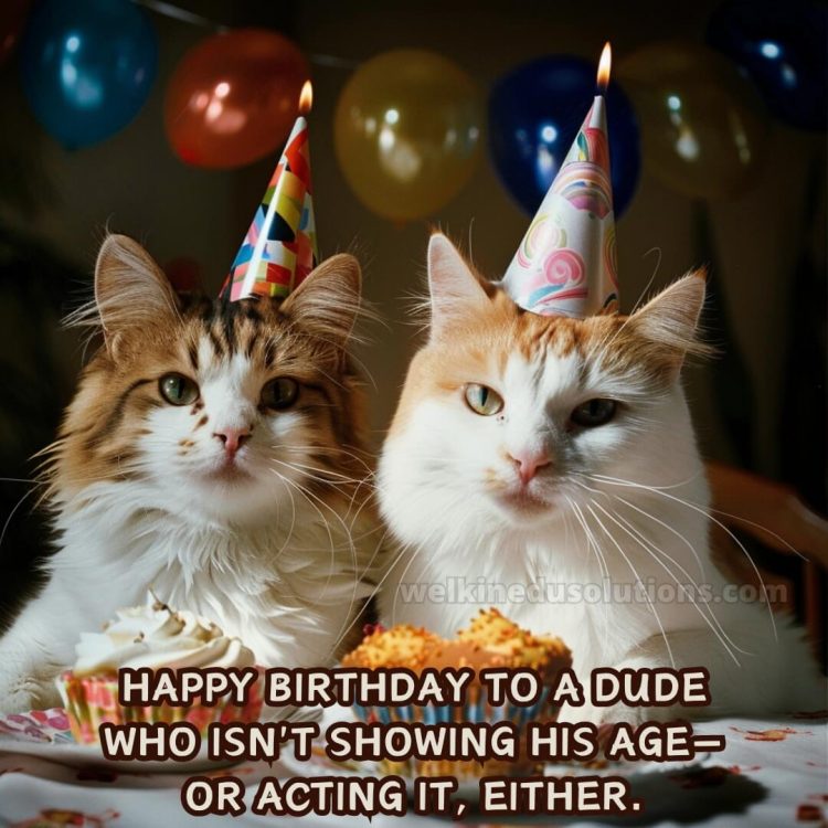 Funny birthday wishes for friend picture cats gratis