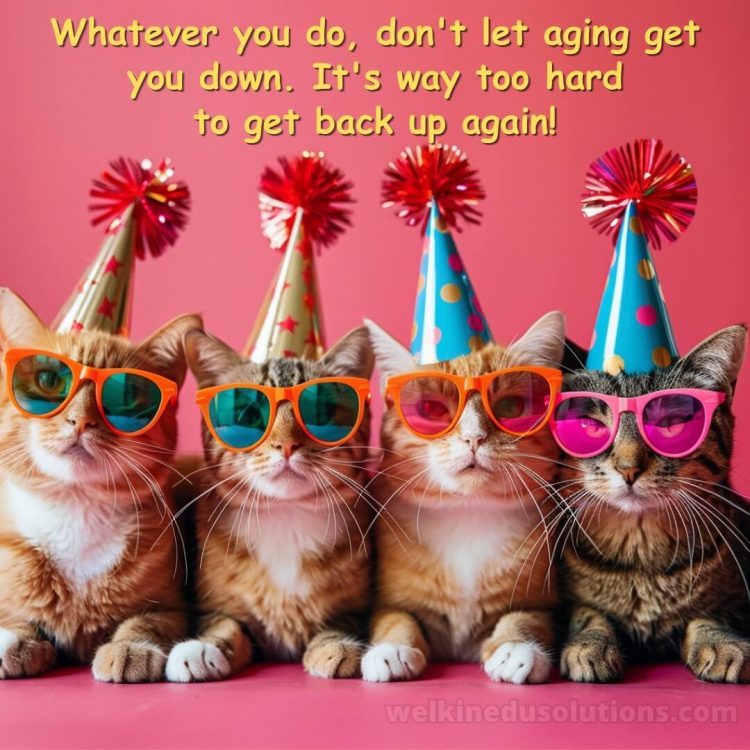 Funny birthday wishes for friend picture cats with glasses gratis